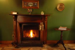 タンボリーン・マウンテンにあるLisson Groveの緑の壁の部屋の暖炉