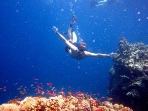 入住Umma Bali Menjangan Retreat的客人