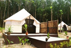 Zahrada ubytování Camp Hadee Koh Yao Noi