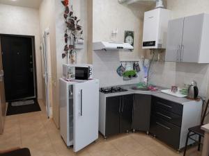 アドレルにあるApartments on Belorusskaya 20のキッチン(白い冷蔵庫、シンク付)