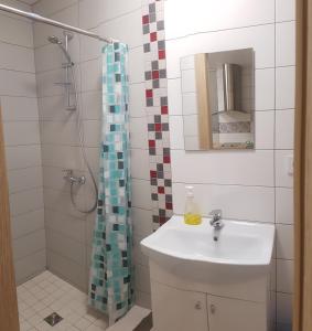 ein Bad mit einem Waschbecken und einer Dusche in der Unterkunft Studio by the Lake Kaunas in Kaunas