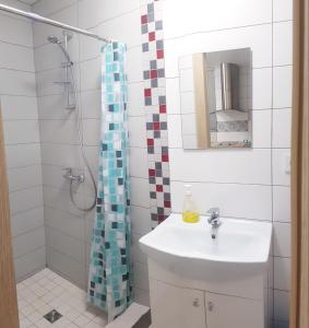 uma casa de banho com um lavatório e um chuveiro em Studio by the Lake Kaunas em Kaunas