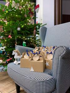 Una sala de estar con un árbol de Navidad con cajas en un sofá. en Aparthotel Hornigold "W Zielonej Kamienicy", en Katowice