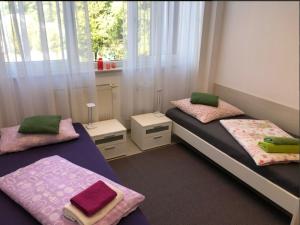 Zimmer mit 2 Betten und einem Fenster in der Unterkunft Ferienwohnung Uniklinik Mainz in Mainz