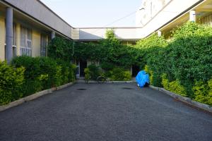 a courtyard of a building with a blue umbrella at Bahir Dar Backpackers in Bahir Dar