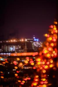 a city lit up at night with a christmas tree at Slovenia Crib in Ljubljana