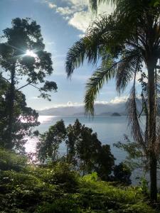 uitzicht op de oceaan met palmbomen op de voorgrond bij Ubatuba Surf Hostel, apenas a 60 metros da praia da Lagoinha! in Ubatuba