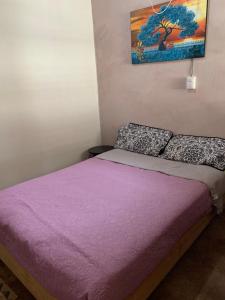 1 dormitorio con 1 cama con sábanas moradas y una pintura en Miroji, en Zacatlán