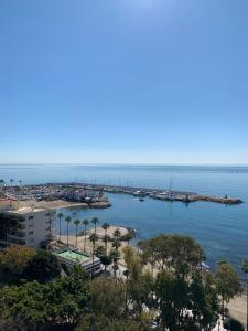 マルベーリャにあるSkol 927A - beachfront central luxury penthouseの桟橋のあるビーチの景色