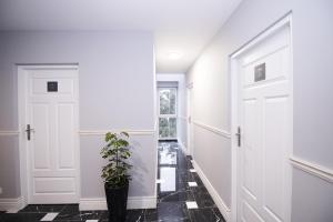 Fotografia z galérie ubytovania White Home Room v destinácii Białystok