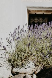 Giardino di Hotel Hinteregger