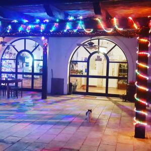 un perro sentado frente a un edificio con luces de Navidad en Masseria La Rocca, en Pacentro