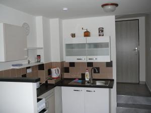Kuchyň nebo kuchyňský kout v ubytování Apartman Modry dum
