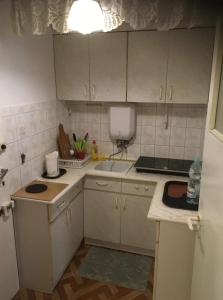 a small kitchen with white cabinets and a sink at Mieszkanie "Panorama" in Krynica Zdrój