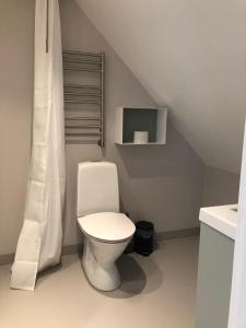 a bathroom with a white toilet in a attic at Strandvillan Ljugarn in Ljugarn