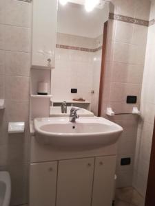 uma casa de banho com um lavatório branco e um WC. em Il Nido B&B em Villa dʼAllegno