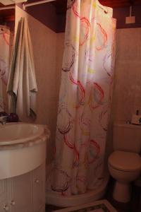 a bathroom with a toilet and a shower curtain at Casa Fagundo in Puntagorda