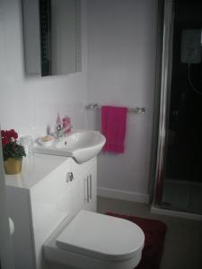 a bathroom with a white toilet and a sink at Sonas, Dunans in Flodigarry