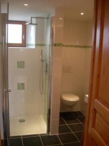 a bathroom with a shower and a toilet at Gîte La Penhatière in Baulon