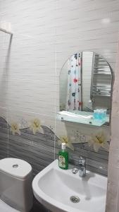 ein Badezimmer mit einem WC, einem Waschbecken und einem Spiegel in der Unterkunft Guest house Jangulashvili in Sighnaghi