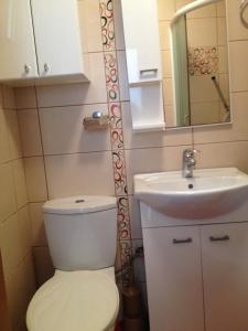 uma casa de banho com um WC e um lavatório em Экономичная студия с тенистым патио вблизи пляжа em Kotor