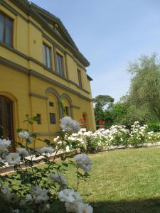 Vonkajšia záhrada v ubytovaní Hotel Villa Betania