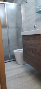 a bathroom with a shower and a toilet and a sink at CASA CRISTALLO sci ai piedi in Prato Nevoso