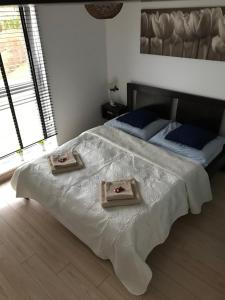 Fotografia z galérie ubytovania Apartament Alihouse v destinácii Bydgoszcz