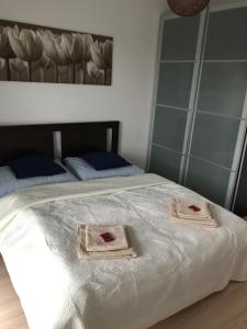 Fotografia z galérie ubytovania Apartament Alihouse v destinácii Bydgoszcz