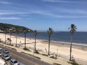 vistas a una playa con palmeras y al océano en Hotel Atlantico, en Piriápolis