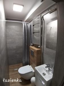een badkamer met een toilet, een wastafel en een douche bij Pokoje Sandra I in Łeba
