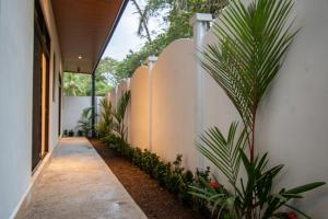 a courtyard with plants next to a white wall at Surfside Santa Teresa in Santa Teresa Beach