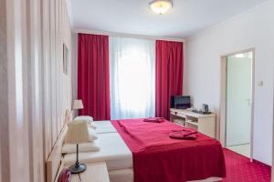 TV a/nebo společenská místnost v ubytování Walzer Hotel