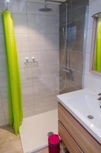 a bathroom with a shower and a sink at Suites Conviviales la Vignette in Benfeld