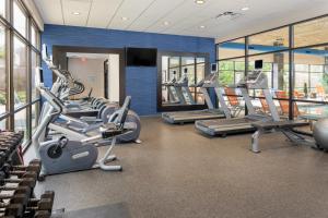 Fitnes oz. oprema za telovadbo v nastanitvi Holiday Inn and Suites Charleston West, an IHG Hotel