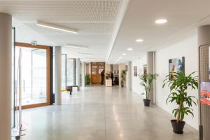 un couloir dans un immeuble de bureaux avec des plantes en pot dans l'établissement Hotel Saint Louis Beaulieu - Bordeaux, à Bordeaux