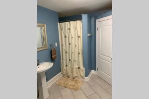 uma casa de banho com uma cortina de chuveiro e um lavatório em Northside Cape em Richmond