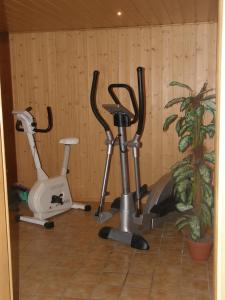 Fitness centrum a/nebo fitness zařízení v ubytování Haus Sonja