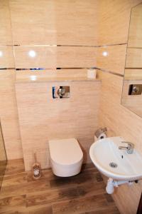 a bathroom with a toilet and a sink at Pensjonat Sielanka in Solec-Zdrój +92 photos