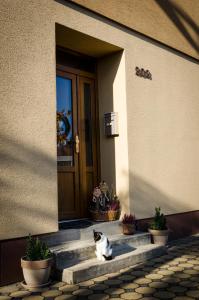 Domácí mazlíčci ubytovaní s hosty v ubytování Apartmány u Kotačků
