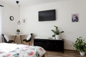 TV a/nebo společenská místnost v ubytování Apartmány u Kotačků