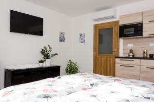 Kuchyň nebo kuchyňský kout v ubytování Apartmány u Kotačků