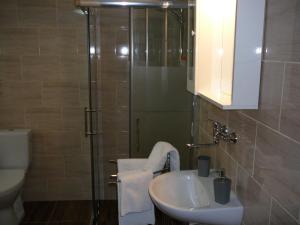 een badkamer met een douche, een wastafel en een toilet bij Apartman Modry dum in Vranov nad Dyjí
