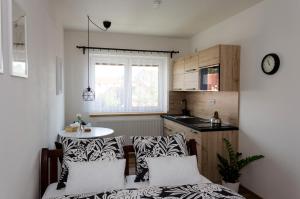 Kuchyň nebo kuchyňský kout v ubytování Apartmány u Kotačků