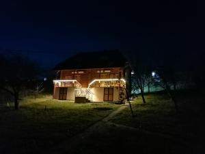 a house with lights on the front of it at night at Apartmani Žuti Leptir in Vrdnik