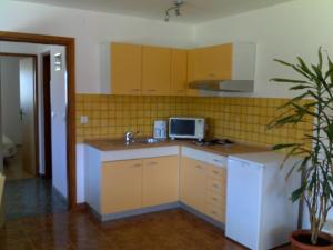 Кухня или мини-кухня в Apartments Katja
