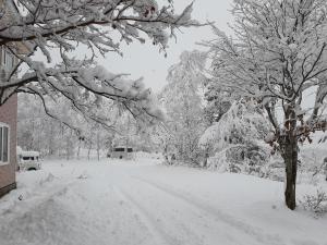 un patio cubierto de nieve con árboles y una carretera en Haiji, en Shizukuishi 53 fotos más