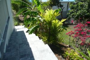 Ogród w obiekcie Douceurs Caraïbes, Gîte Balisier.
