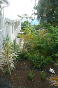 Ogród w obiekcie Douceurs Caraïbes, Gîte Balisier.