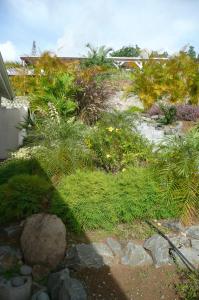Jardin de l'établissement Douceurs Caraïbes, Gîte Papaye.